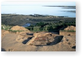 The excavated remains of the NMesolithic hut at Howick