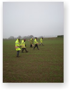 Fieldwalking in a line with each person spaced 2m apart