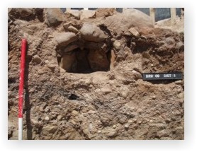 The cist as it appeared before excavation