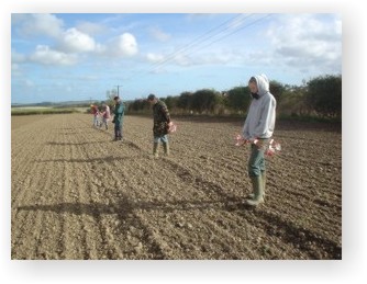 Fieldwalking during the Till-Tweed Project