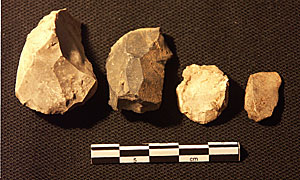 A collection of chert scrapers
