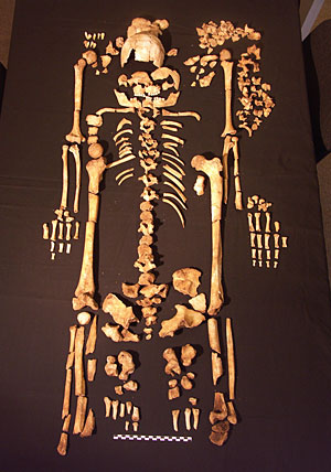 Skeleton 3, a female, aged early 20's 