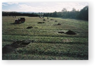 A number of test pits opened to test for the presence of sub-surface archaeology