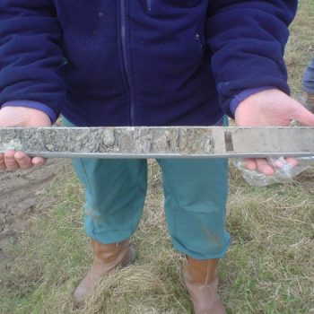 A sediment core after extraction showing fine grained sediment to the right and coarse grained sediment to the left. © Copyright ARS Ltd 2018
