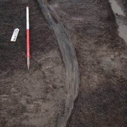 A piece of timber found within the evaluation trench excavated over a shallow kettle hole in 2012 (scale = 1m). © Copyright ARS Ltd