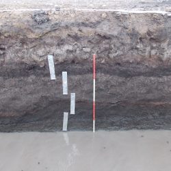 The deposit sequence within the kettle hole. The silver tins show where encironmental samples were taken (scale = 2m). © Copyright ARS Ltd