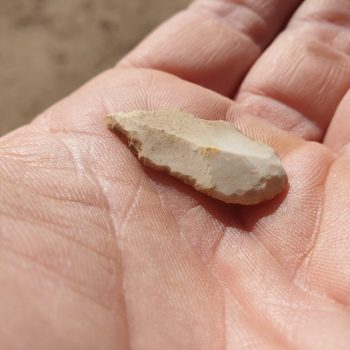 An Early Mesolithic broad blade flint microlith picked up by one of our team on the edge of one of the ancient wetlands.