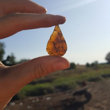 A Neolithic leaf-shaped arrowhead recovered from one of the wetland basins on site.
